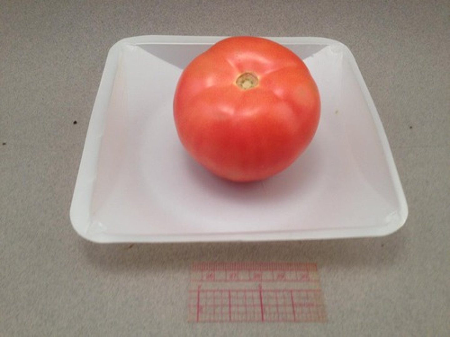 <p>Fruit is derived from ovary tissue only</p>