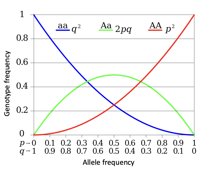 <p>The null model</p>