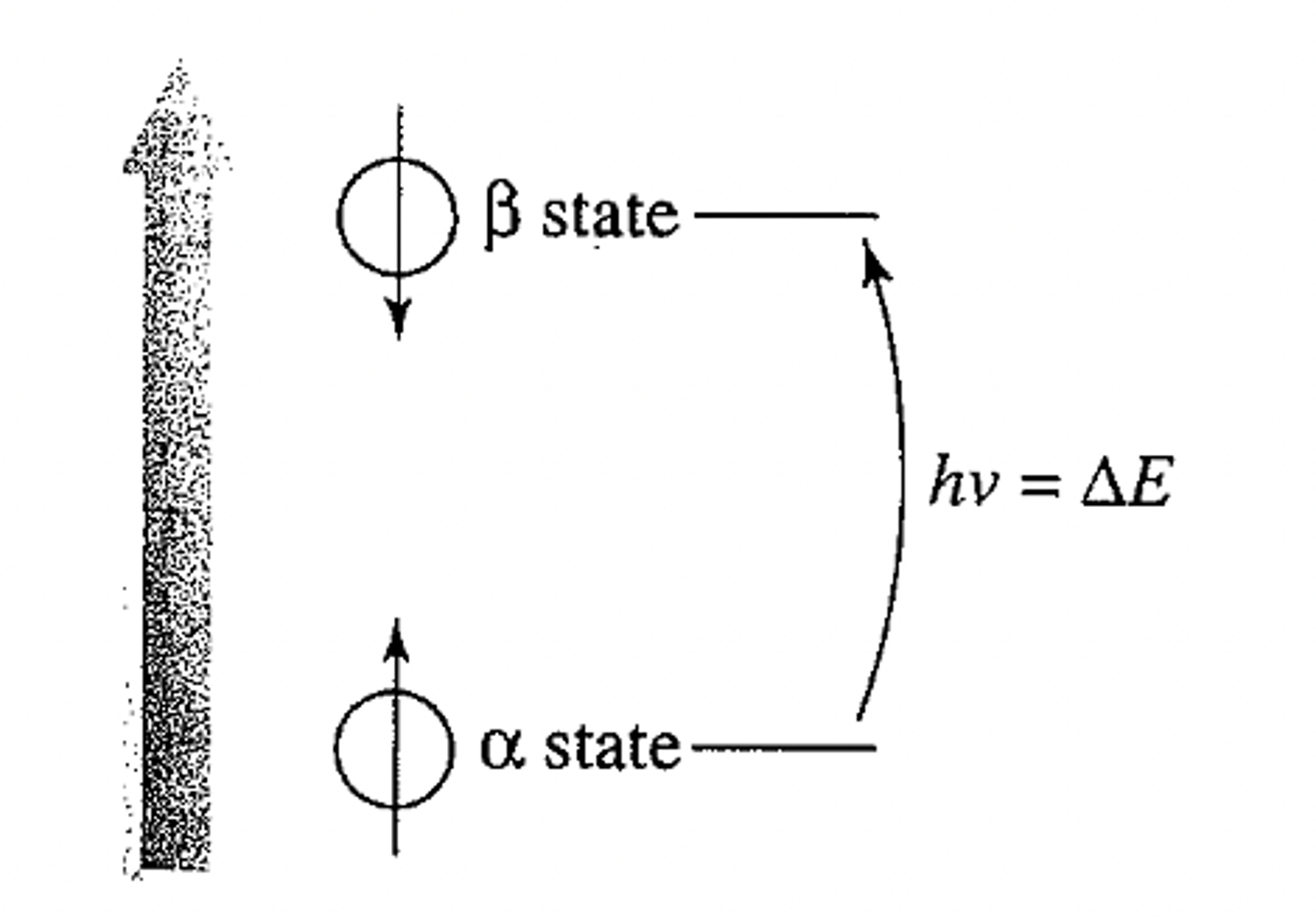<p>∆E = hν</p><p>∆E = γ Boh/2π = hν; ν = γBo/2π</p><p>γ = gyromagnetic ratio; a constant that depends on the magnetic moment of the nucleus.</p>