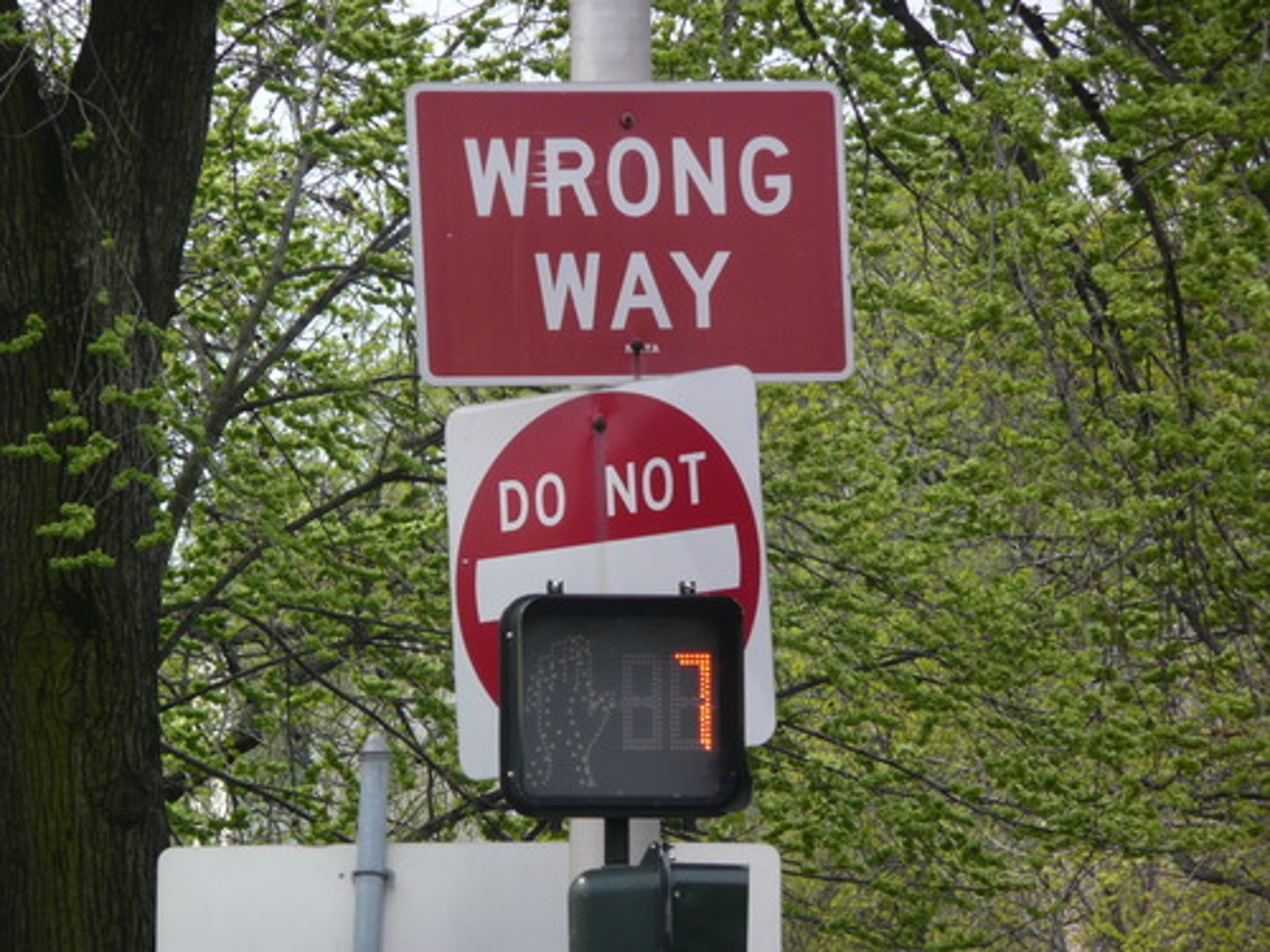 <p>Regulatory and must be obeyed. Include STOP, YIELD, DO NOT ENTER, or WRONG WAY</p>