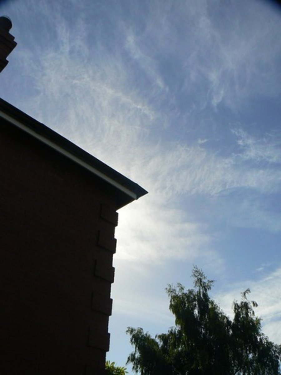 <p>thin, sheetlike high clouds that often cover the entire sky. They are so thin that the sun and moon can be seen through them. Cirrostratus clouds usually come 12-24 hours before a rain or snow storm.</p>