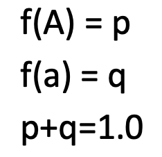 <p>w/in a population, proportion of individuals w/ a specific allele</p>