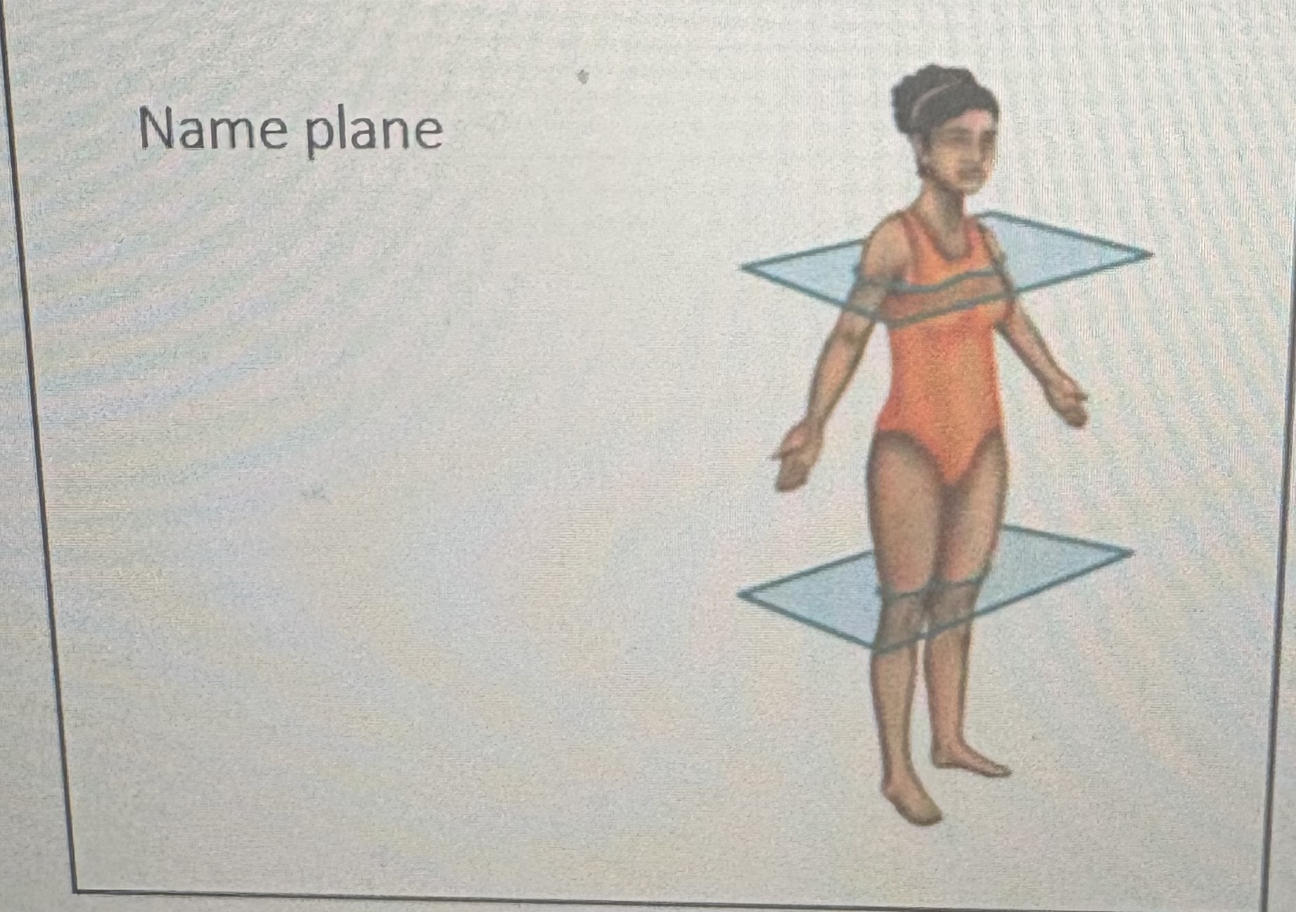 <p>name plane </p>