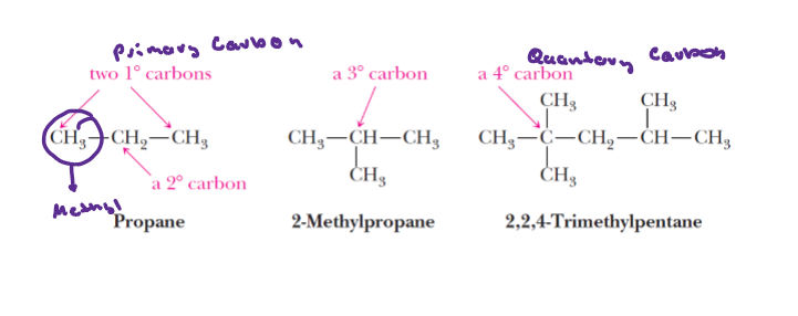 <p>Carbons bonded to four other carbon atoms </p>
