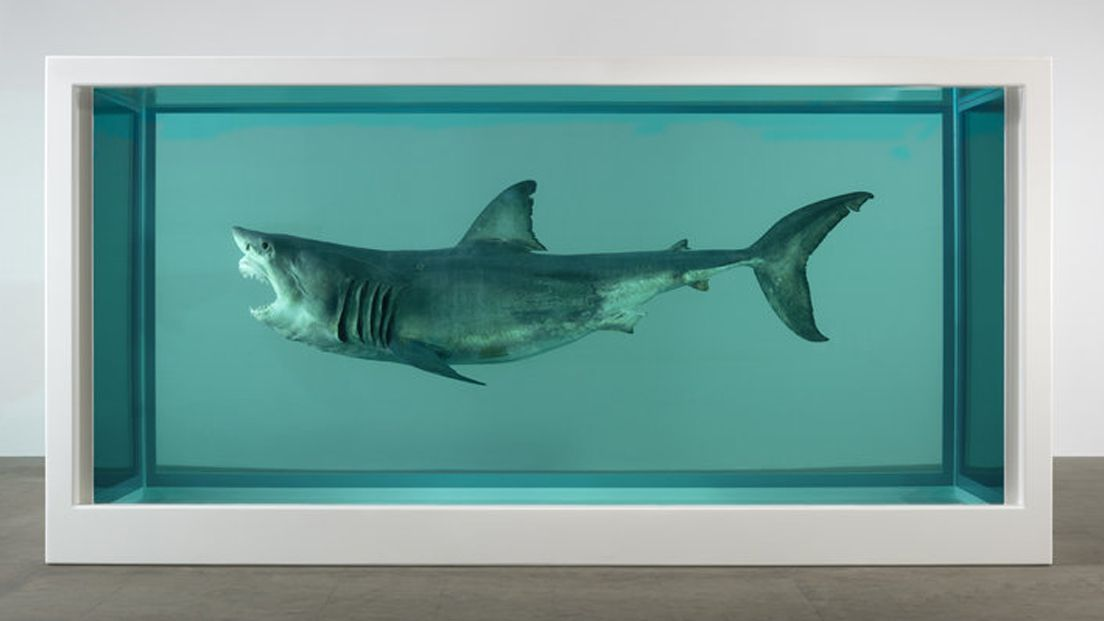 <ul><li><p><span>series of dead animals preserved and floating in formaldehyde</span></p></li><li><p><em>The Physical Impossibility of Death in the Mind of Someone Living</em></p></li><li><p><em>For the Love of God</em></p></li></ul><p></p>