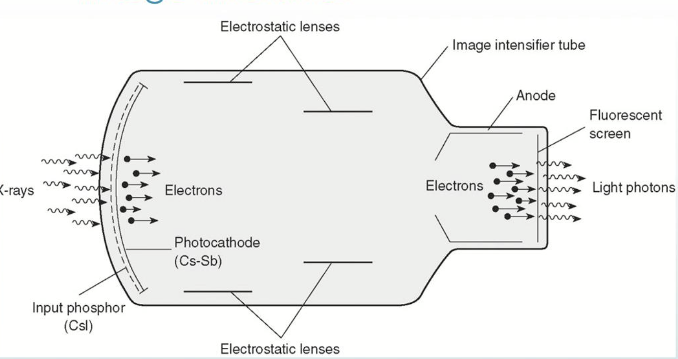 term image