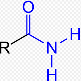 <p>What is this functional group? </p>