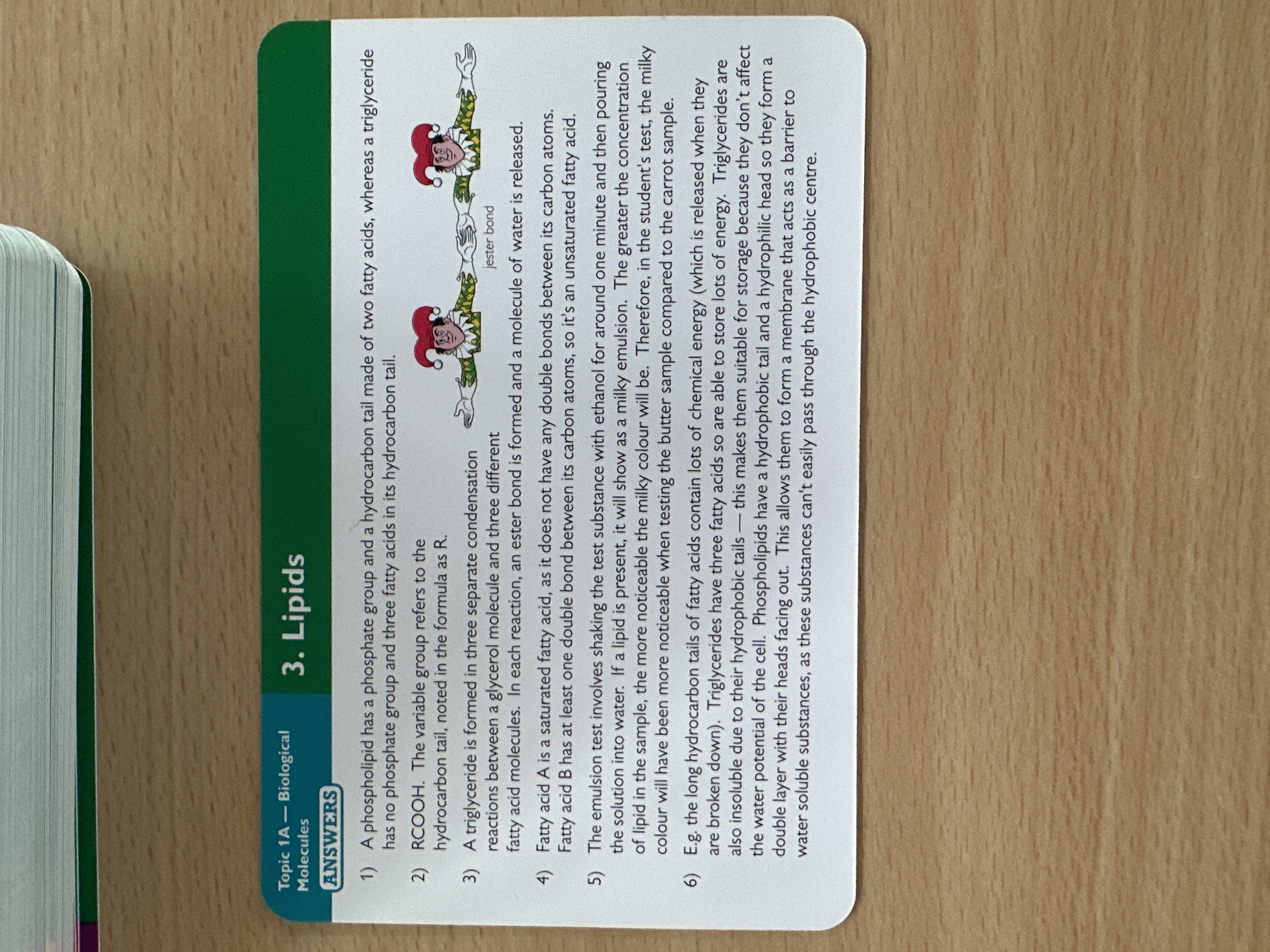 knowt flashcard image