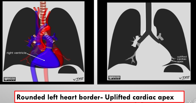 <p>what is this?</p>