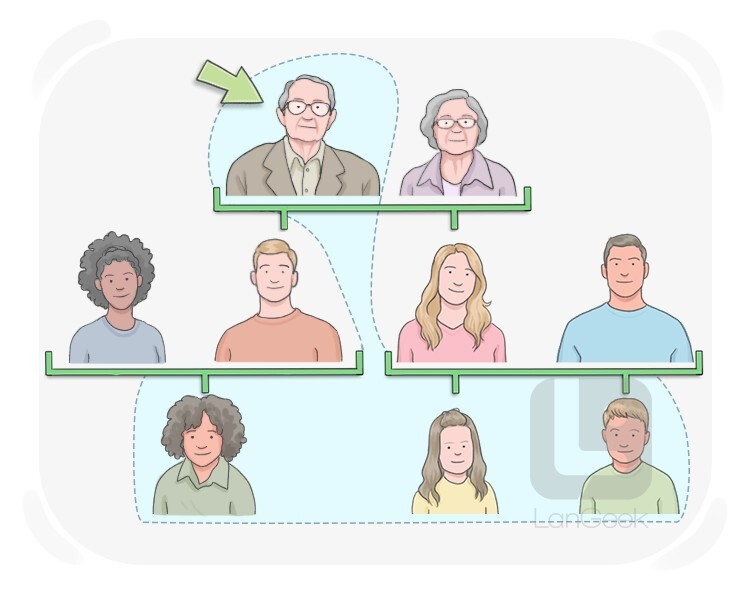 <p>پدربزرگ </p>