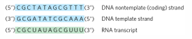<p>noncoding v <strong>coding</strong></p>