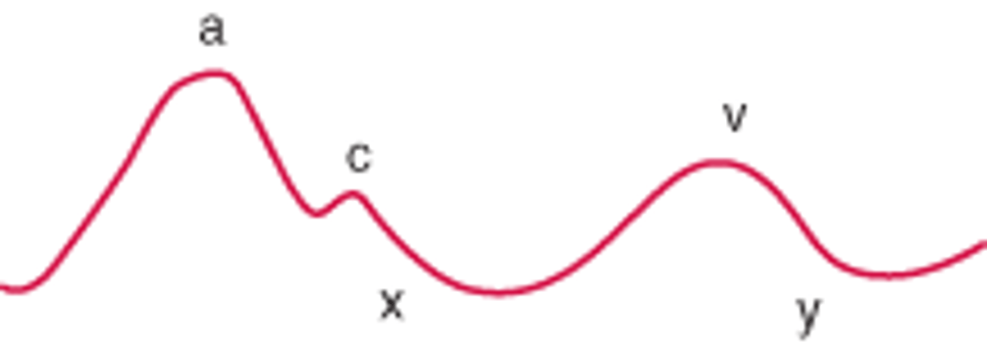 <p>peak, right atrial pressure rises due to atrial contraction</p>