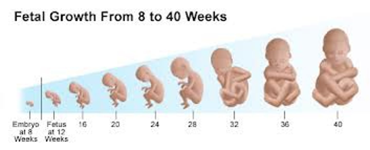 <p>develop, grow</p>