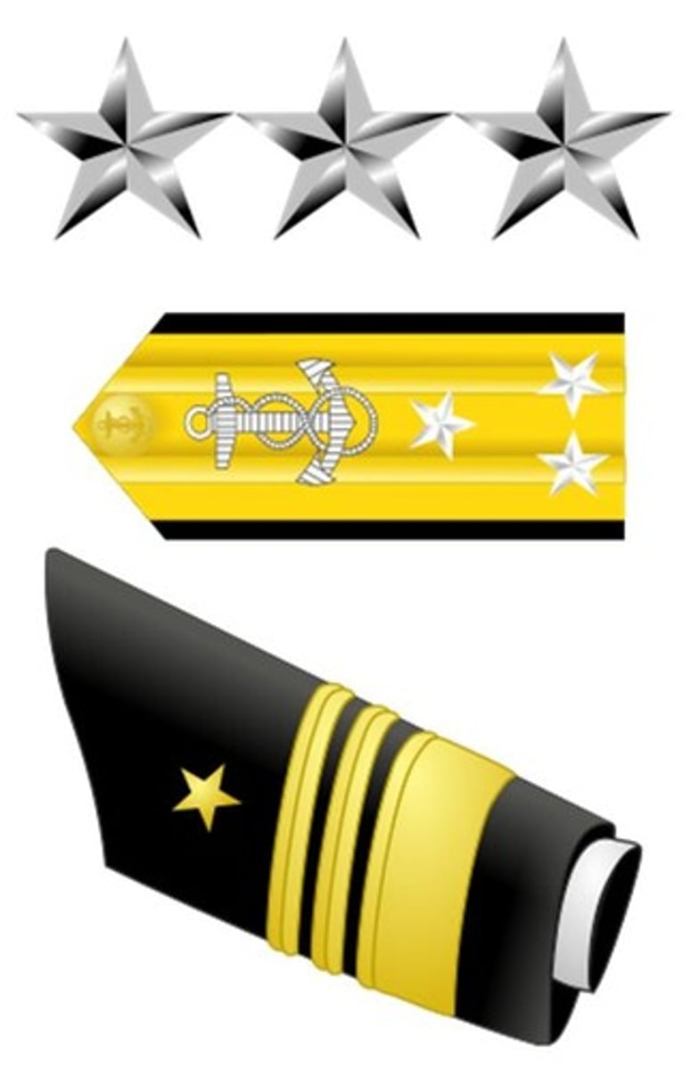 <p>3 Silver stars</p><p>[1] 2" Gold Stripe</p><p>[2] 1/2" Gold Stripes</p>