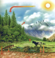 The science of the relationships between organisms and their environments.