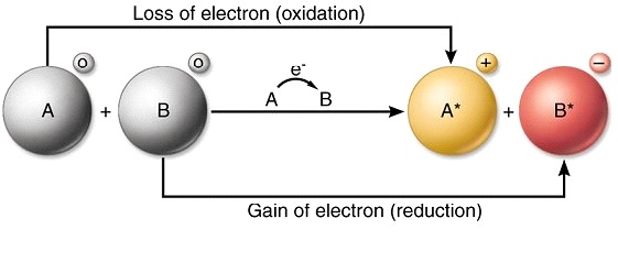 <p>is the gain of electrons</p><p>the compound that gains electrons is said to be reduced</p><ul><li><p>now is more energy state</p></li></ul><p></p><ul><li><p>Gain of electron(s), or</p></li><li><p>Addition of hydrogen or</p></li><li><p>Removal of oxygen</p></li><li><p>During reduction, energy is gained</p></li></ul><p></p>