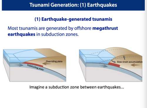 <p>Uplift of the seafloor from elastic rebound during a large subduction zone</p>