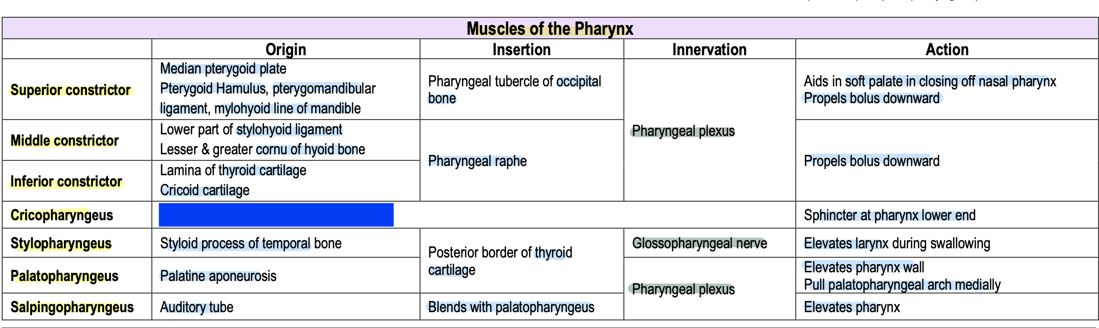 knowt flashcard image