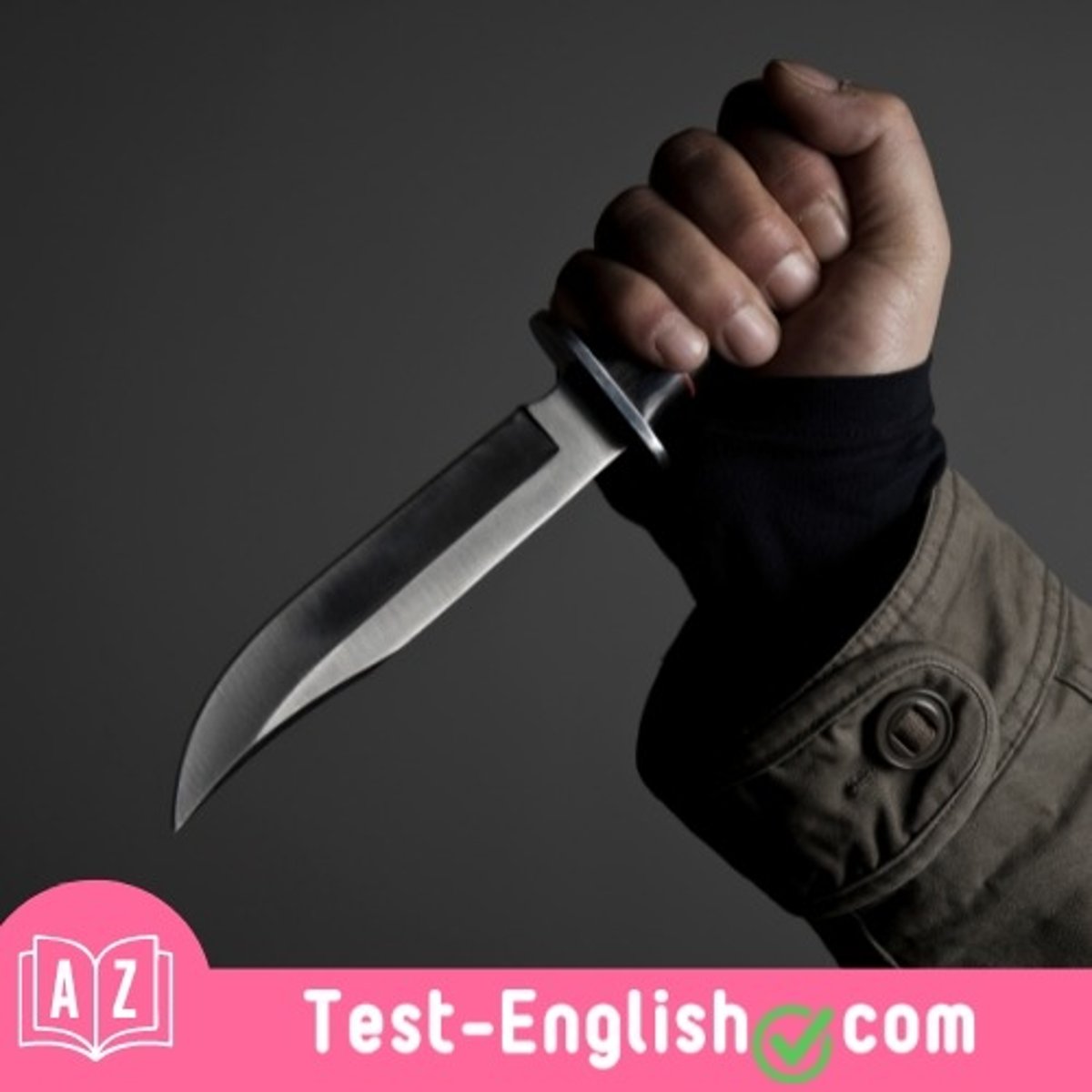 <p>The vision of that man with the knife was absolutely _____.</p>