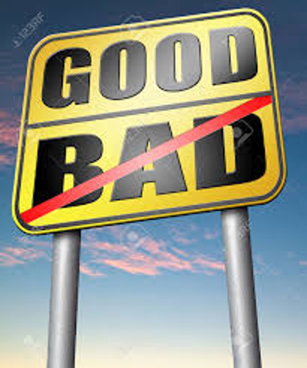 <p>Ideas about what is important, right, or fair that influence opinions and behaviour.</p>