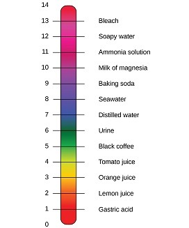 scale with values from 0 to 14, used to measure the concentration of H+ ions in a solution; a pH of 0 to 7 is acidic, a pH of 7 is neutral, and a pH of 7 to 14 is basic