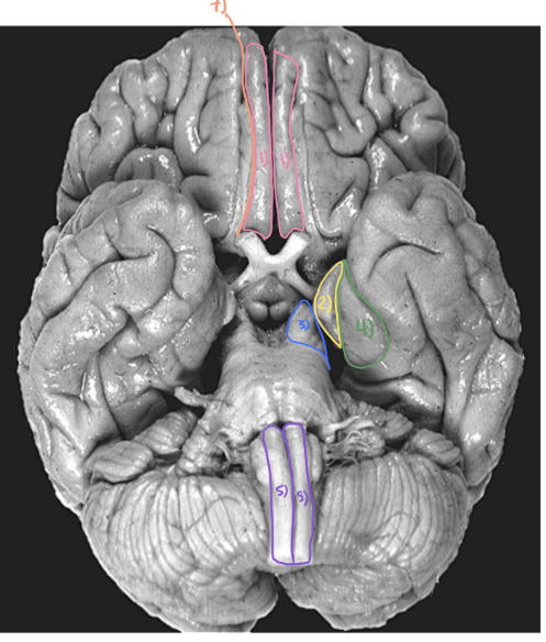 <p>What is number 7?</p>