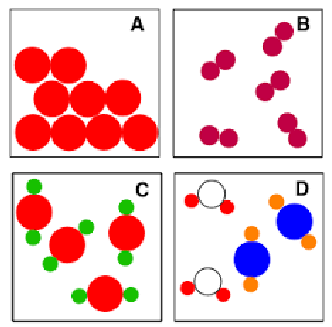 <p>Particle Diagrams (Chapter 1)</p><ul><li><p>A</p></li><li><p>B</p></li><li><p>C</p></li><li><p>D</p></li></ul><p></p>