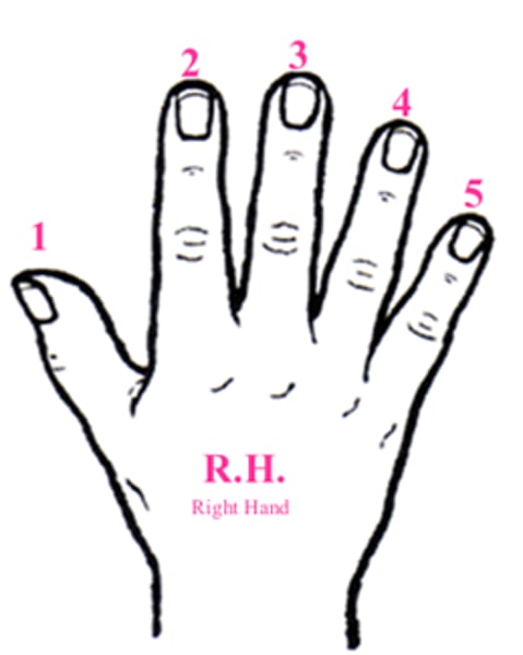 <p>-You start with your thumb being the 1st digit.</p><p>-Index finger (2nd digit)</p><p>-Middle finger (3rd digit)</p><p>-Ring Finger (4th digit)</p><p>-Pinky (5th digit)</p>