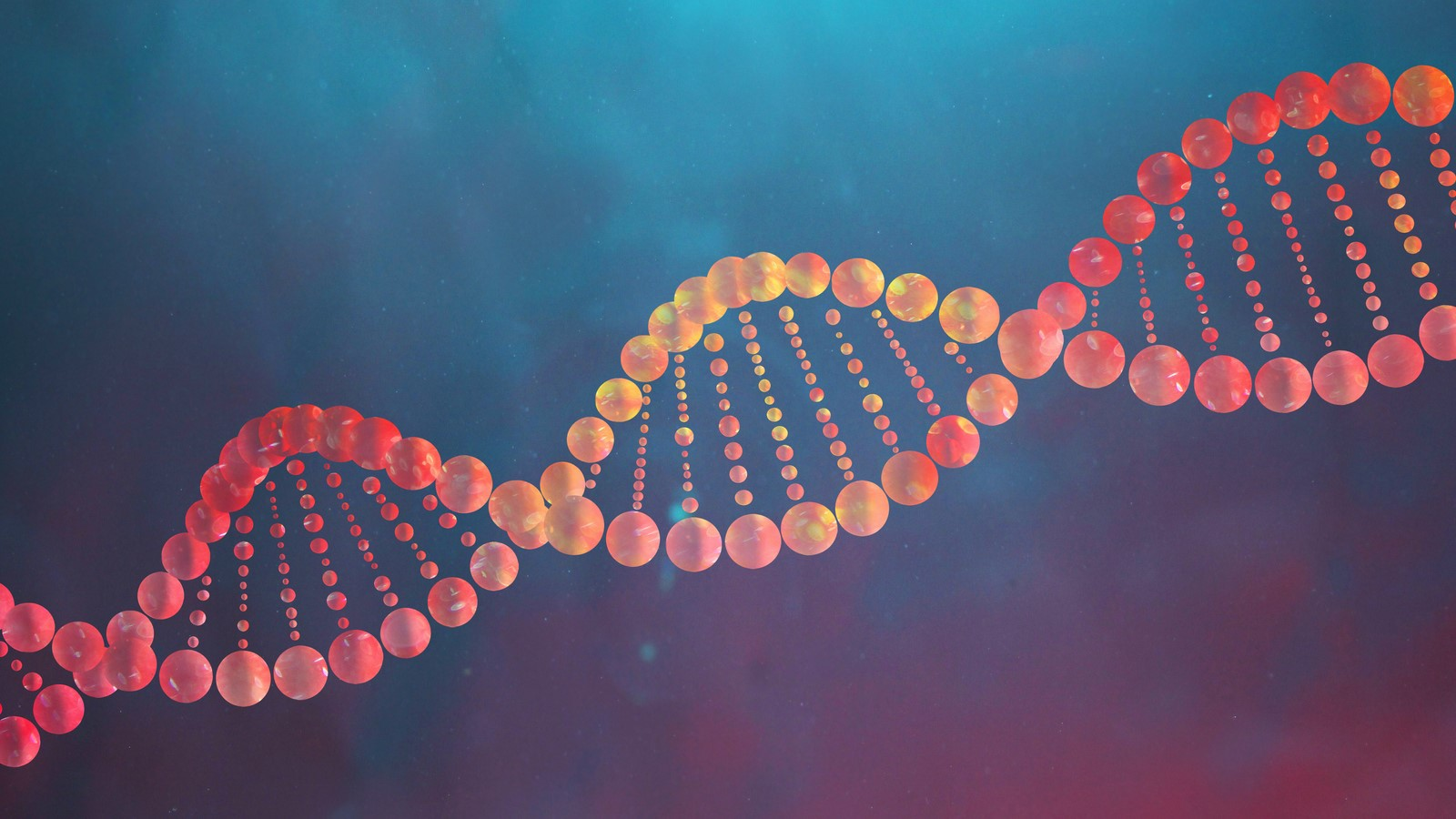 <p><span style="font-family: Aptos, sans-serif; line-height: 115%;">Define DNA</span></p>