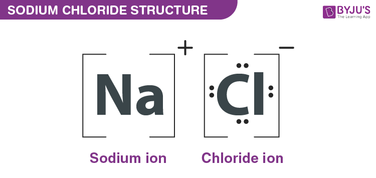 <p>Na+ and Cl- are more abundant in the </p>