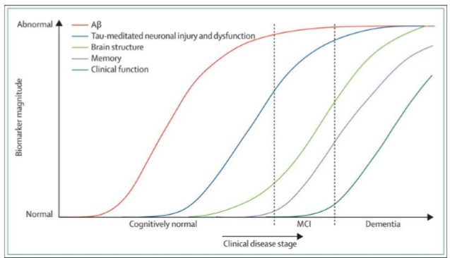 <p>accumulation of amyloid plaques cause tau tables, which affects brain structure, which affects memory, which affects clinical function</p><p>not the right disease model for all races/ethnicities</p>