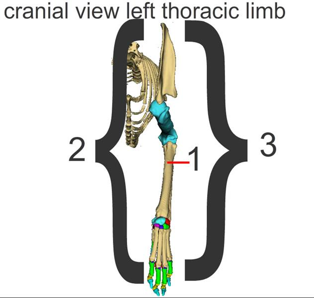 <p>Name the views</p>