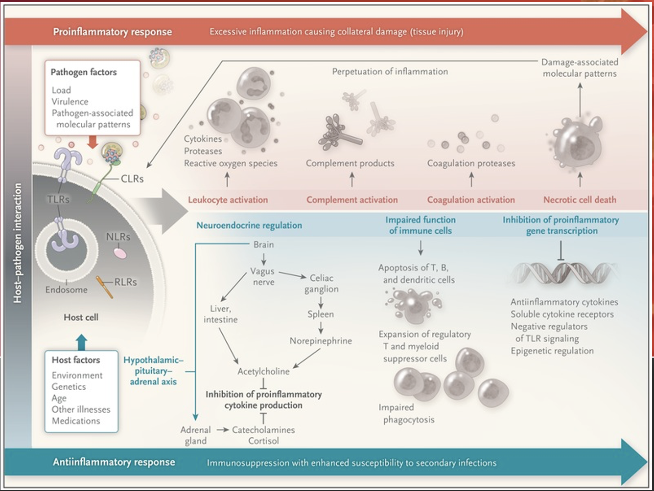 <p>Sepsis is …</p>