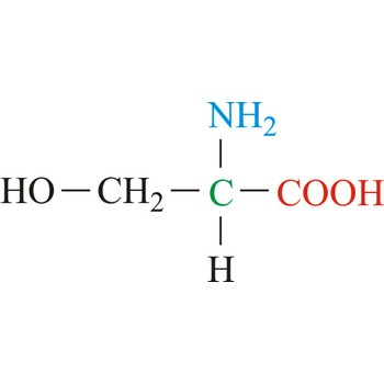 <p>What is the name of this amino acid, and, what are the single and three letter codes?</p>