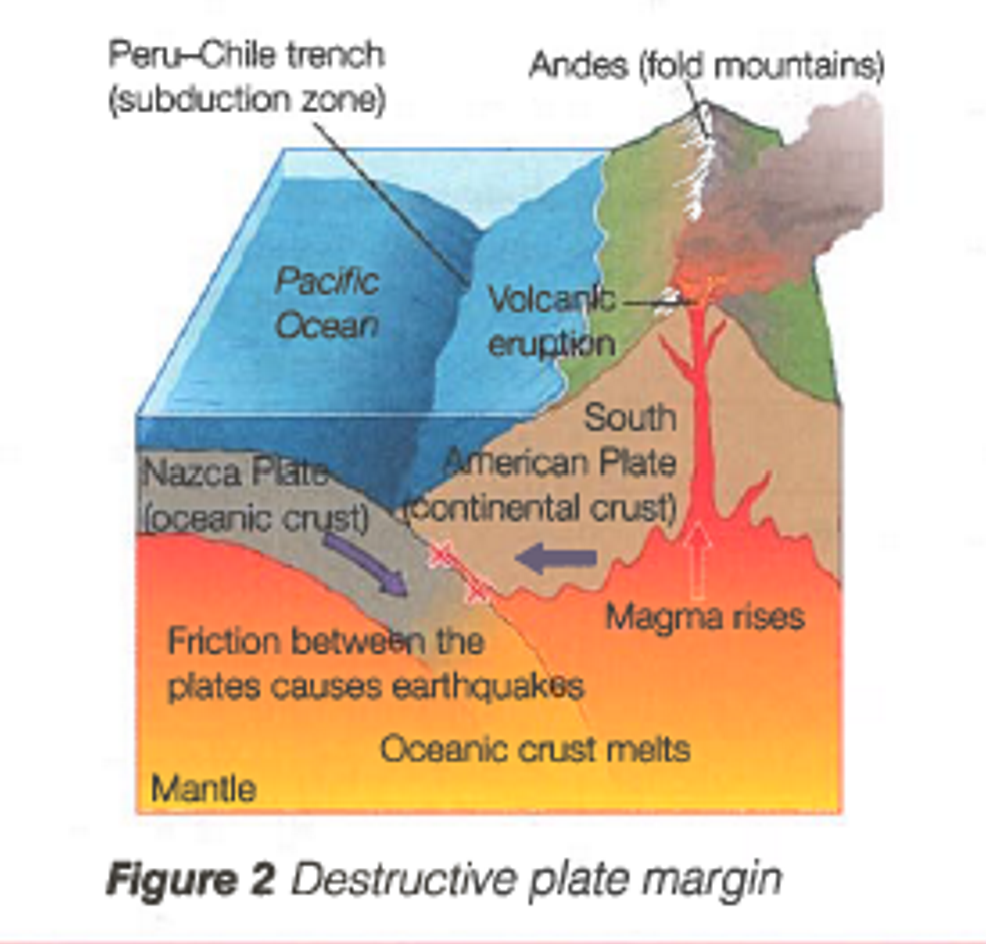-When a continetal plate meets an oceanic plate
-here the dense oceanic plate is subducted beneath the less dense continental plate.
-As the oceanic plate moves downwards, it melts creating magme which breaks through to the surface to form steep sided composite volacones.
-Eruptions are often violet and explosive

