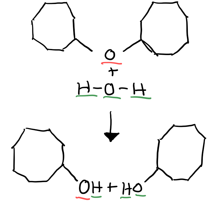 This is how cells split a large molecule into a smaller one