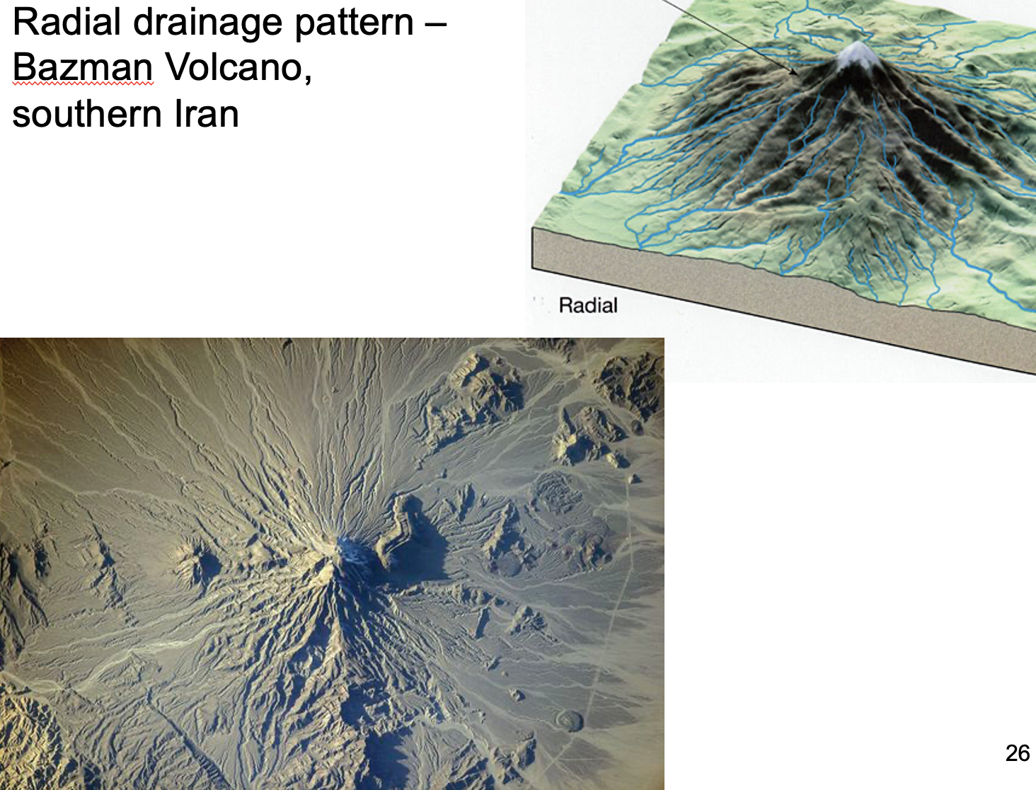 <p>what is radial?</p>
