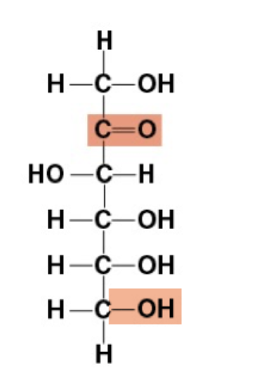 <p><span>If the highlighted groups in fructose below reacted to form a covalent bond, the resulting ring structure would be a:</span></p>