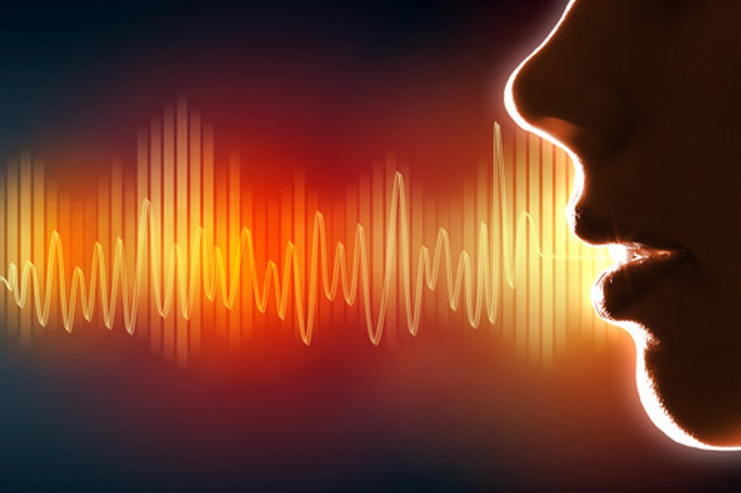 <p>voice</p>