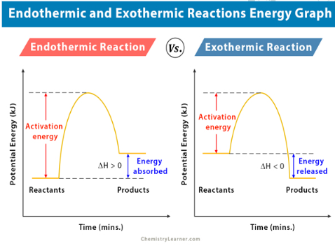 <p><span style="font-family: &quot;Source Sans Pro&quot;, sans-serif">Either way, the Activation Energy is higher than both</span></p>