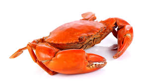 <p><span style="color: red">CRAB</span></p>