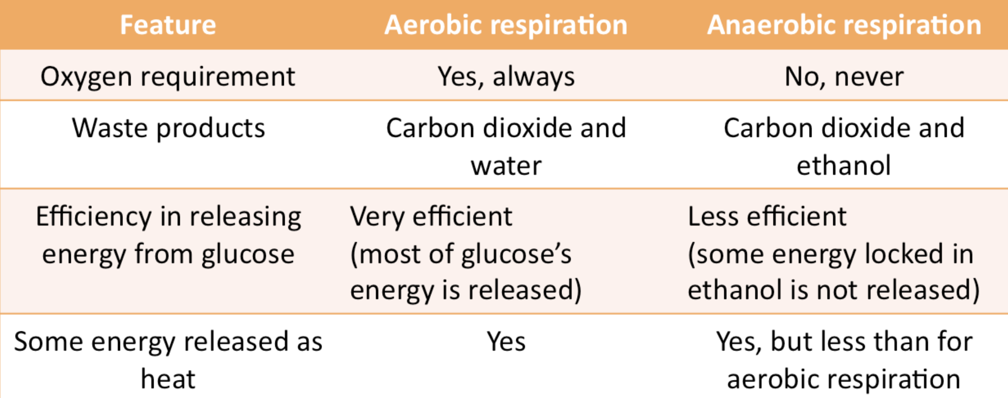 <p>aerobic respiration is generally more efficient than anaerobic respiration due to the usage of O<sub>2</sub> as a terminal electron acceptor</p>