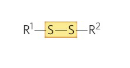<p>Name this functional group</p>