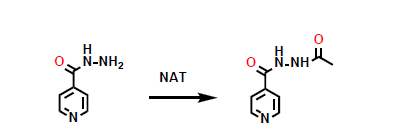 <p>What metabolic phase 2 reaction is shown here?</p>