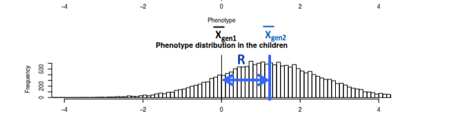 <p>the change in the trait mean across</p><p>successive generations</p>