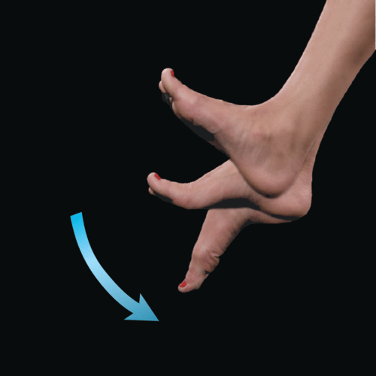 <p>foot points down at ankle</p>