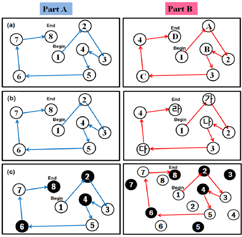 <p>Measure cognitive flexibility, motor control, perceptual complexity, visual scanning, and executive function</p>