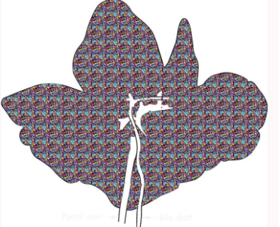 <p>Describe this distribution</p>