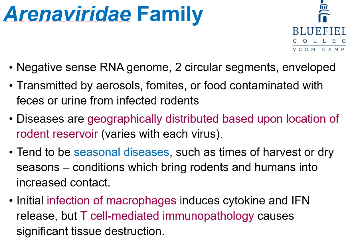 <p>Rodent-human contact increases during harvest or dry seasons.</p>
