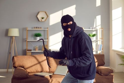 <p>Burglar</p>